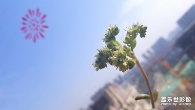 【賞春】+暖春