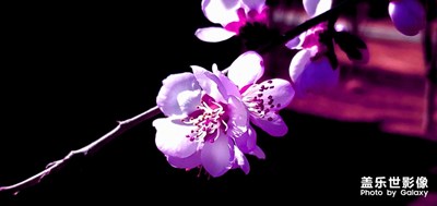 路過暗背景的墻邊不由自主的停下來隨手拍幾張