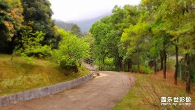 春晨，一人順道而行