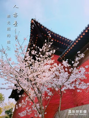 春已至，愿山河無恙