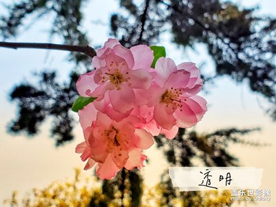 周末老小區(qū)隨拍~