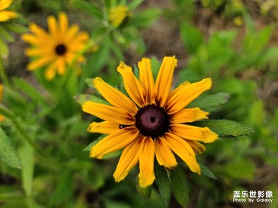 【春花爛漫】+騎行之賞花