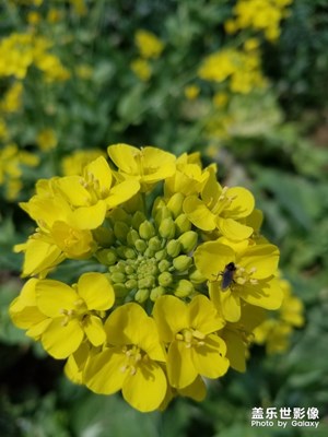 春天到了！春暖花開