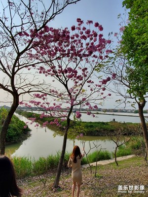 春暖花開時(shí)