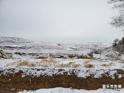 三月飛雪，