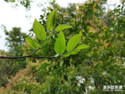 昨天還熱的穿背心短褲，今天就要穿毛衣外套。