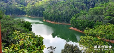 綠絲絳—發(fā)春