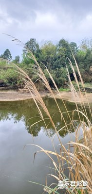 鄉(xiāng)下風(fēng)景