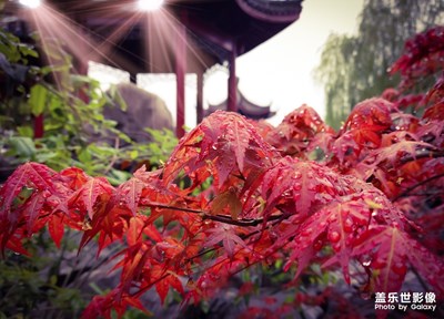 到附近公園轉(zhuǎn)轉(zhuǎn)?。。?！