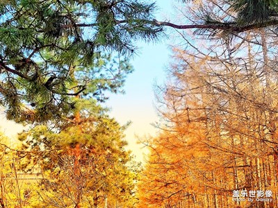 東北初春隨手拍