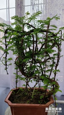 【最美瞬間】+鏡頭里的美