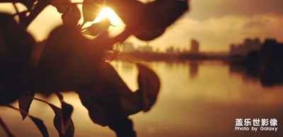 【最美瞬間】+小樓昨夜又東風(fēng)