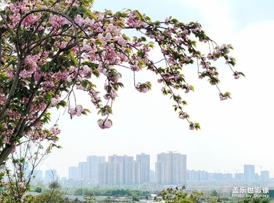 最美瞬間+河邊的風(fēng)景