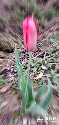 【最美瞬間】+身邊的風(fēng)景