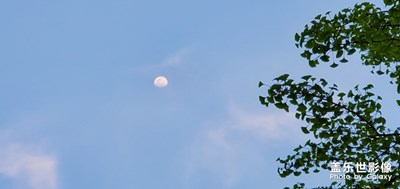 常回家看看