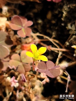 更新后試試相機??