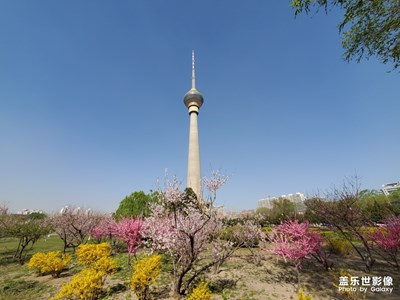 春天已來，疫情將過