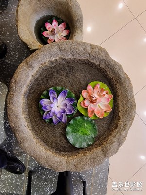 春花爛漫時(shí)