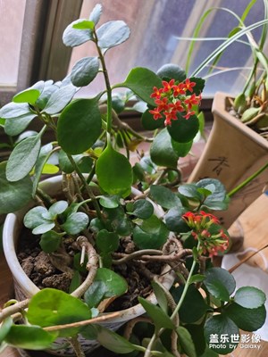 【最美瞬間】+身邊的風景