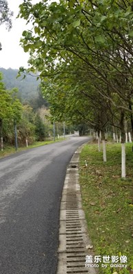 【最美瞬間】＋清明踏青