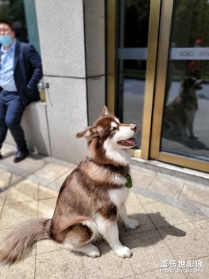 愛上實時虛化了