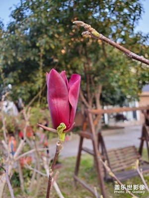 最美瞬間－家門口的風(fēng)景