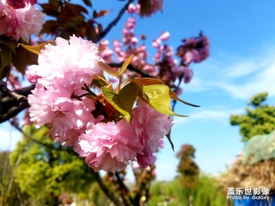 【最美瞬間】周末踏青