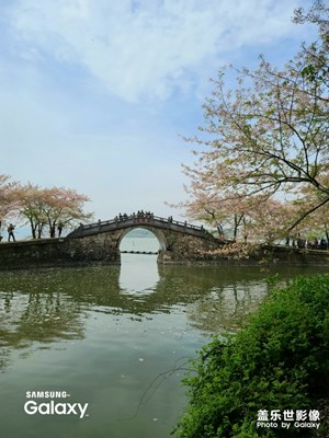 無錫黿頭渚一隅