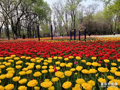 強(qiáng)大的影像能力---三星U