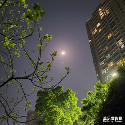 他鄉(xiāng)月夜引相思