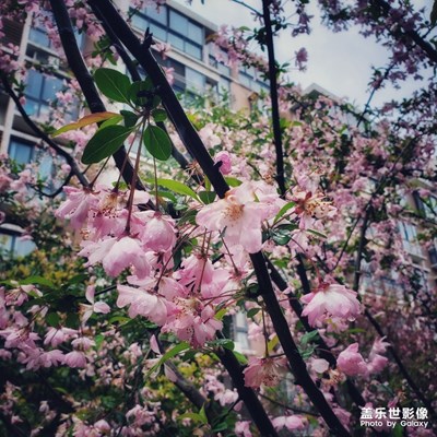 春天應(yīng)該很美好，色彩多多