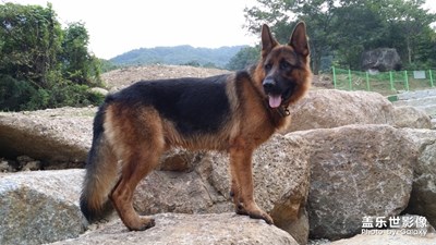 六年前的記憶，想看你！