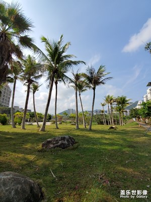 養(yǎng)眼的風(fēng)景