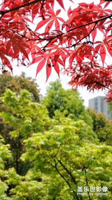 追隨春天的腳步，激發(fā)內(nèi)心的能量。