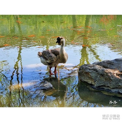 潭西勝境…頭一次聽說頭一次去