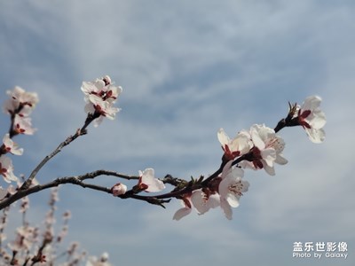 轉(zhuǎn)悠了一天，送你????，晚安了????