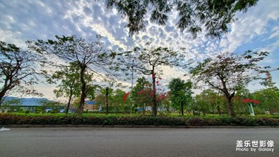 s10+，在城里，有了方向，也沒了方向