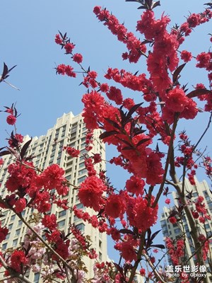 一直舍不得換的5年老機(jī)器s6e的拍攝效果