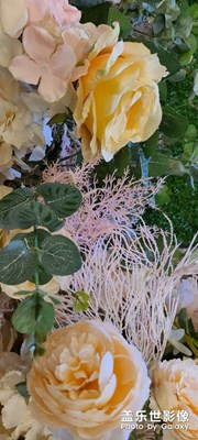 終于，真假對(duì)比