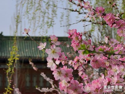 Galaxy S20 Ultra之春暖花開的時(shí)節(jié)