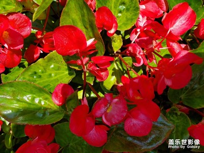 周末，南沙走走