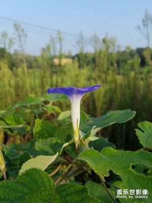 【希望】+生活中的快樂