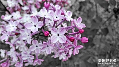 三星原生圖片編輯器