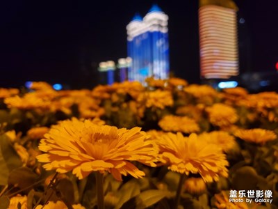 半年了，終于回了一次家