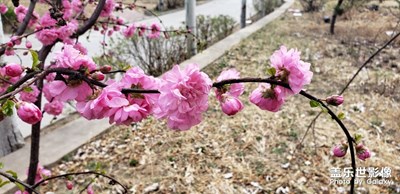 最美的人間四月天