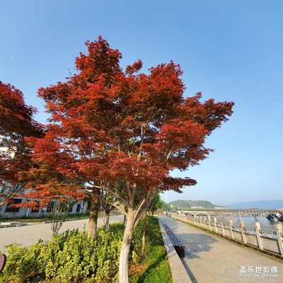 晨練和晚餐的菜