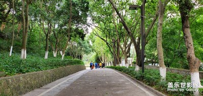 周末健走，鍛煉身體