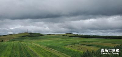 【春日麗影】+草原綠
