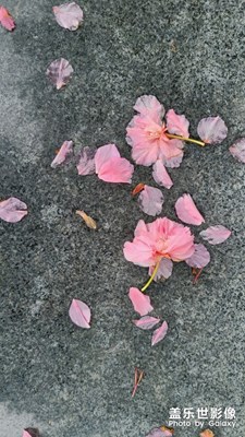 還是那個路邊的小公園