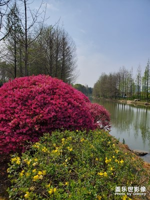 【春日麗影】+江畔春意濃